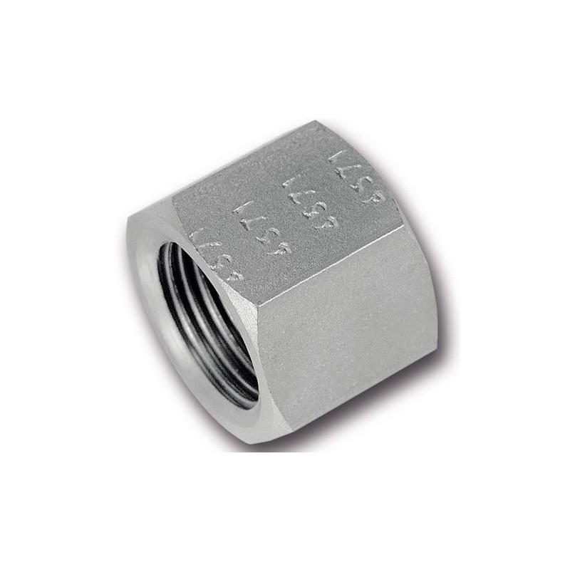 CAPAC BSP 20-1.1/4'